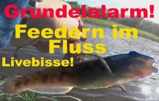 Film zum Feederfischen