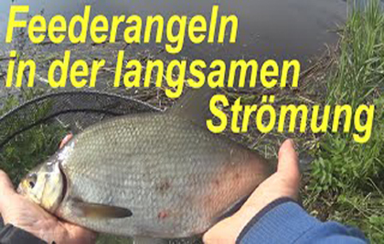 Guiding zum Feederfischen